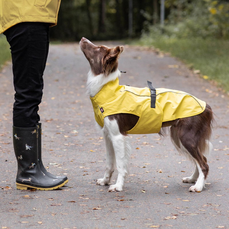 Trixie Regenjas Hond Vimy Geel