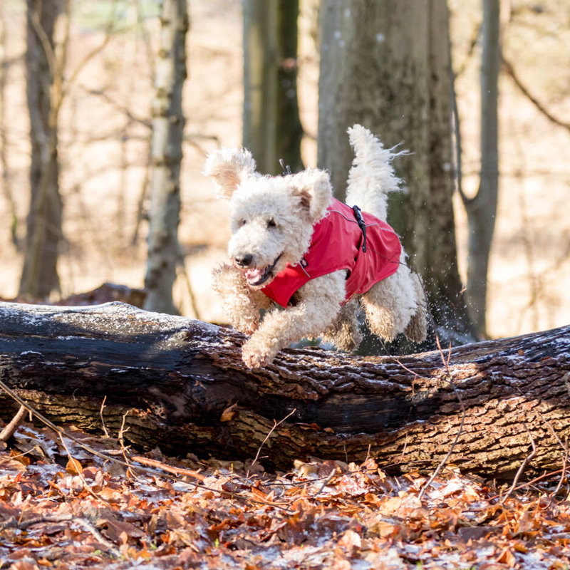 Trixie Regenjas Hond Vimy Rood