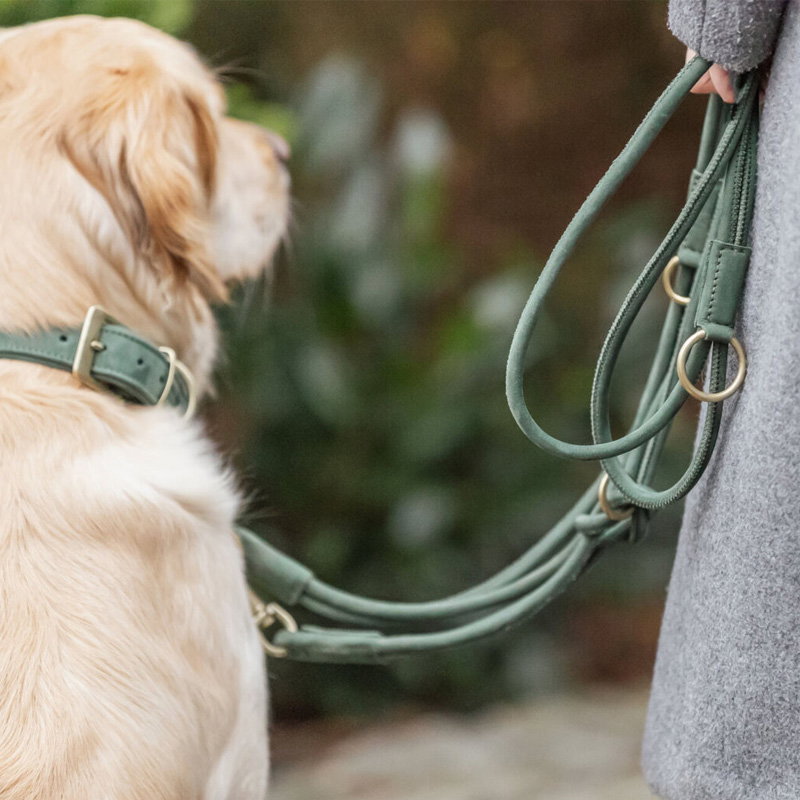 Trixie Halsband Hond Pure Leer Saliegroen