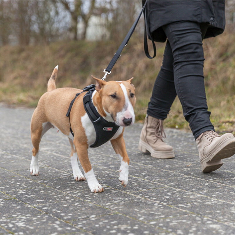 Trixie Hondentuig Premium Flexmesh Brede Borst Zwart