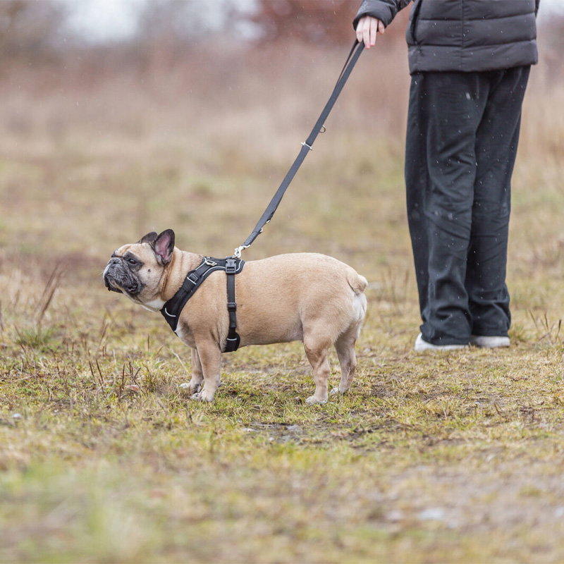 Trixie Hondentuig Premium Flexmesh Brede Borst Zwart