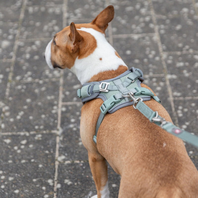 Trixie Hondentuig Premium Flexmesh Brede Borst Saliegroen