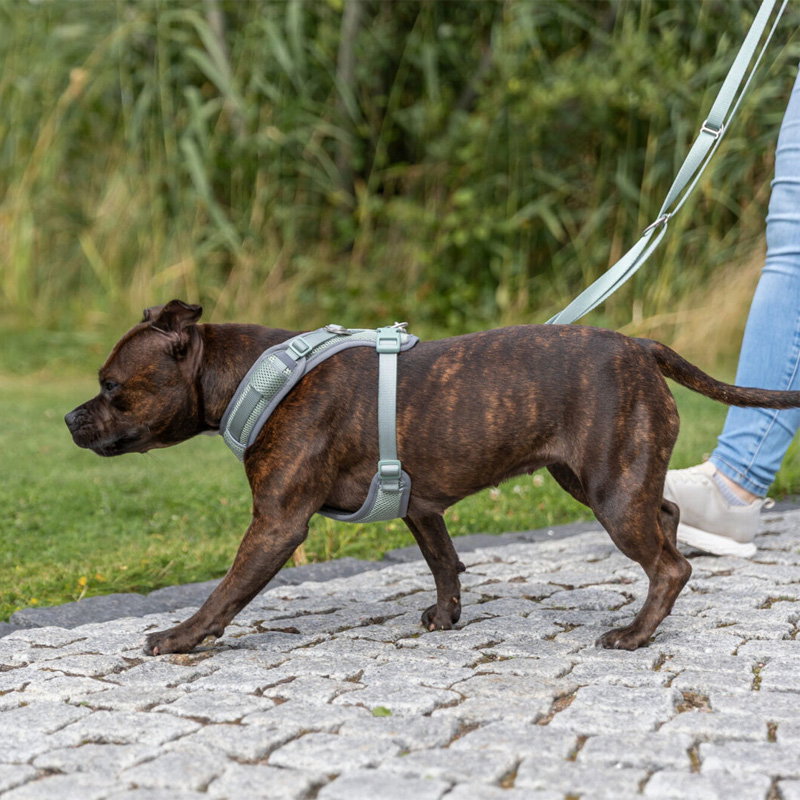 Trixie Hondentuig Premium Flexmesh Brede Borst Saliegroen