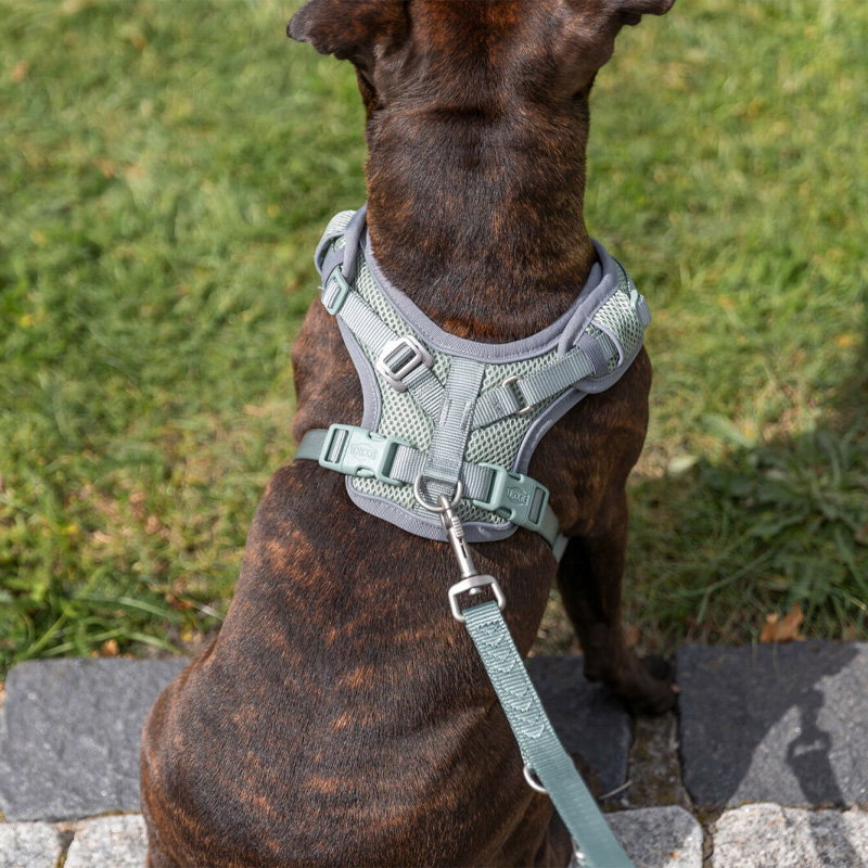 Trixie Hondentuig Premium Flexmesh Brede Borst Saliegroen