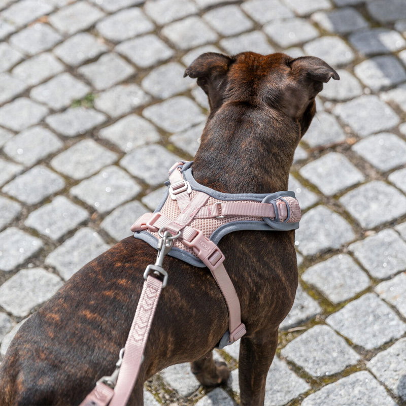 Trixie Hondentuig Premium Flexmesh Brede Borst Blush Roze