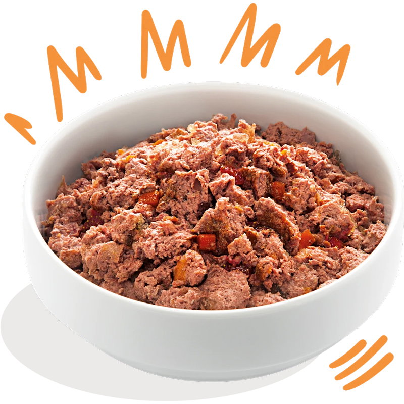 Edgard & Cooper Kip / Kalkoen Blik Graanvrij 6x400gr