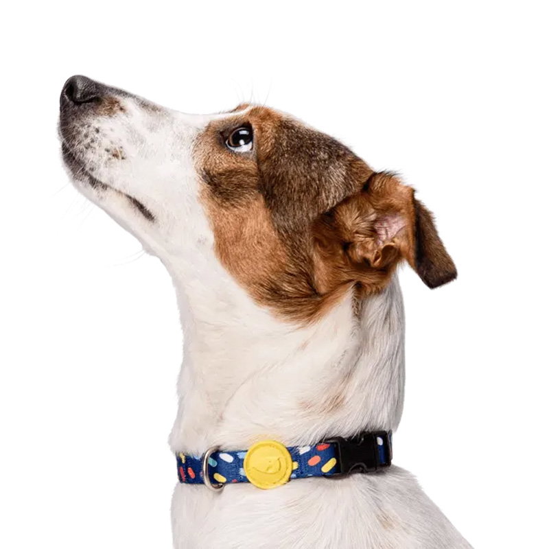Morso Halsband Hond Gerecycled Color Invaders Paars
