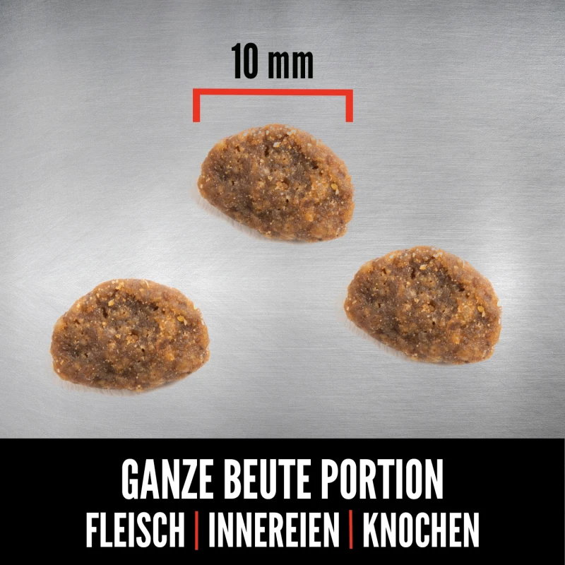 Orijen Whole Prey Fit & Trim Cat
