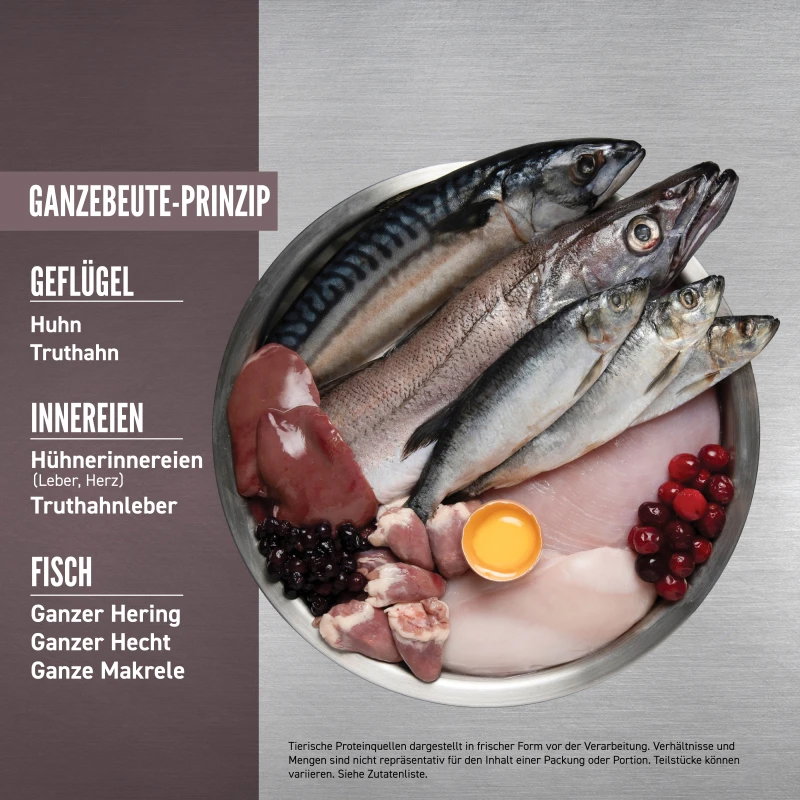 Orijen Whole Prey Fit & Trim Cat