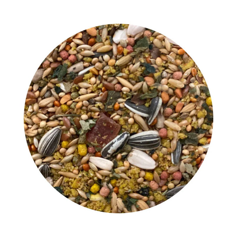 Utopia Grote Parkieten Australisch Top Quality 1 Kg