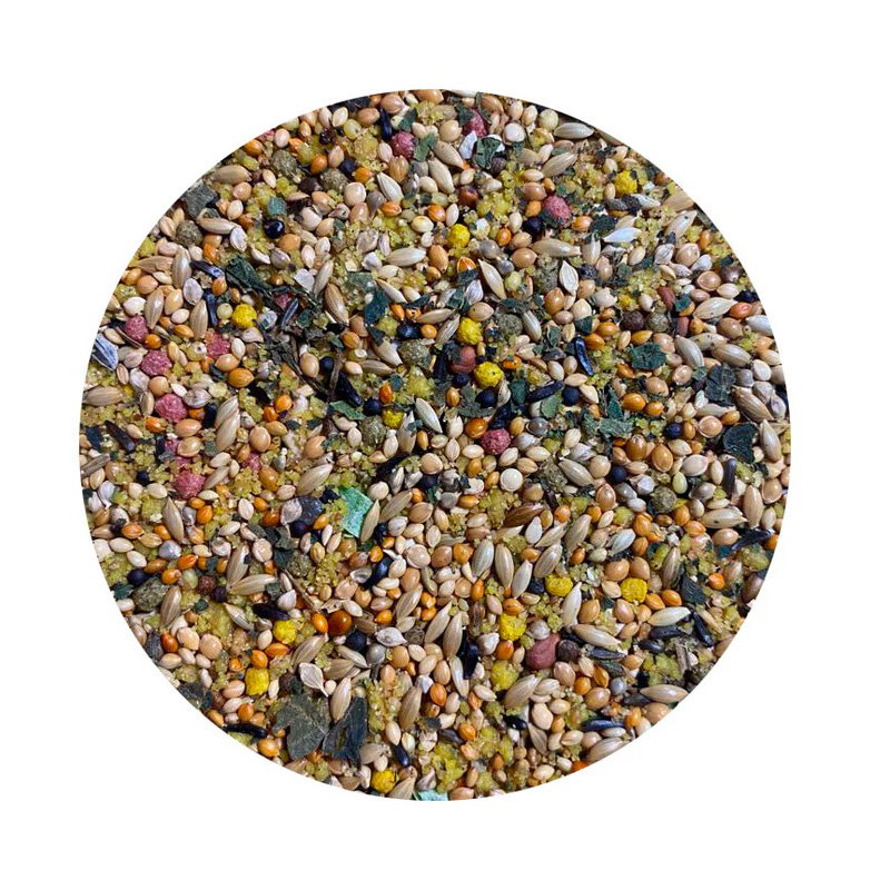 Utopia Tropische Vogels Top Quality 1 Kg