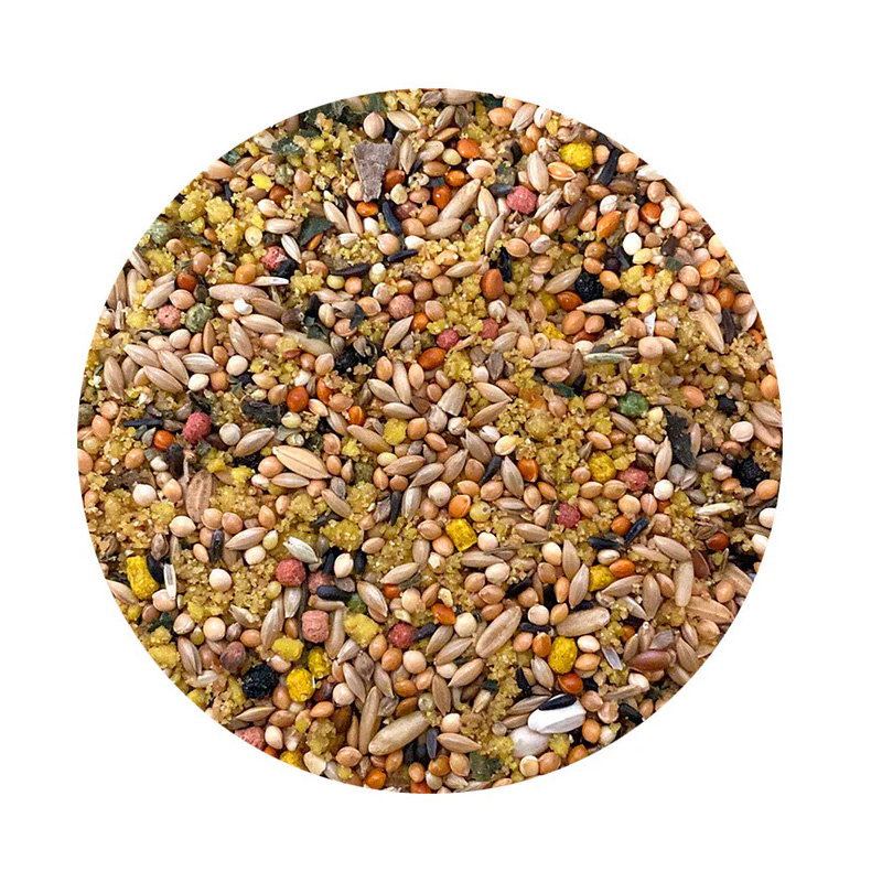 Utopia Parkieten Top Quality 1 Kg