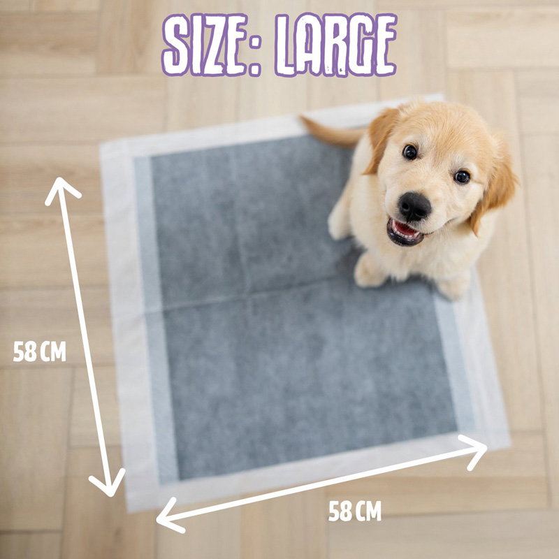 Easypets Puppy Carbon Training Pads 58X58 Cm 250 St