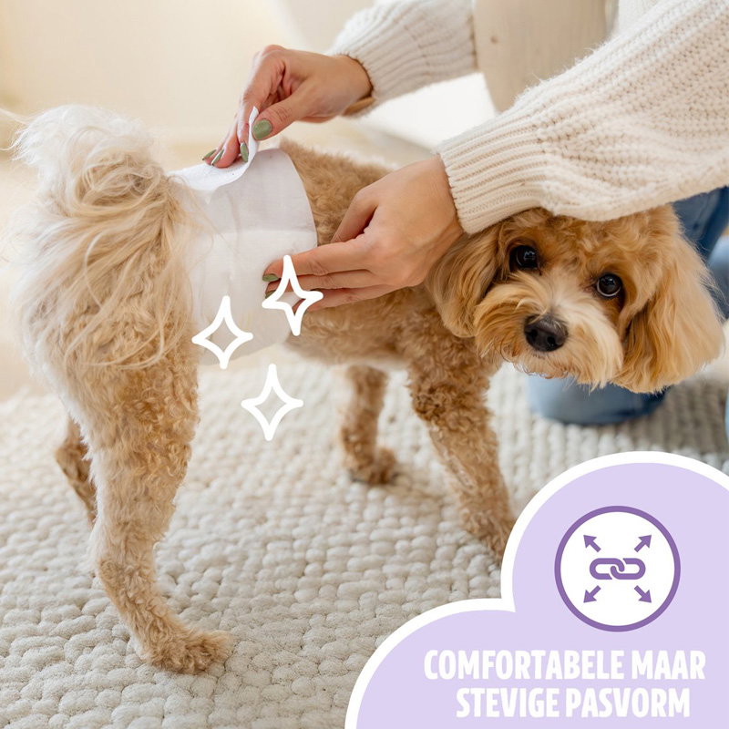 Easypets Hondenluiers Reu S/M 100 St