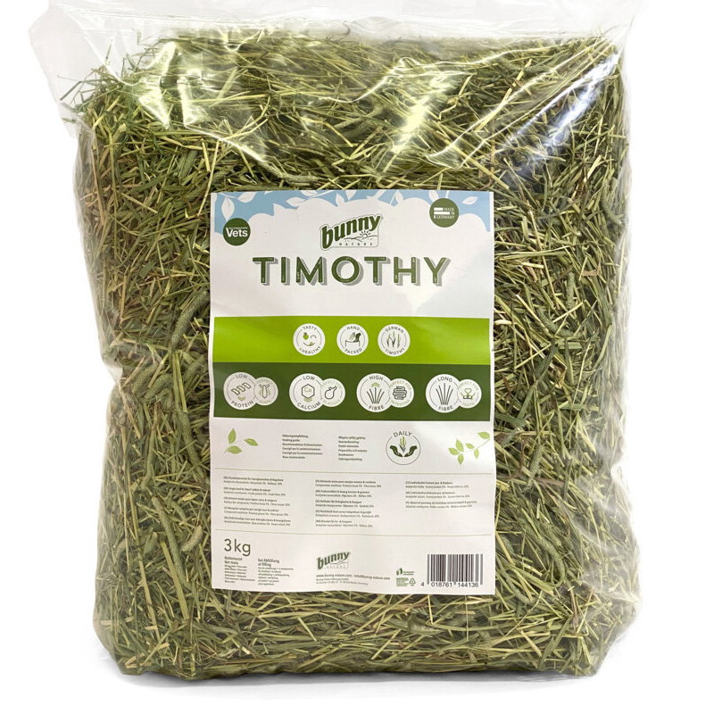 Bunny Nature Timothy Hooi