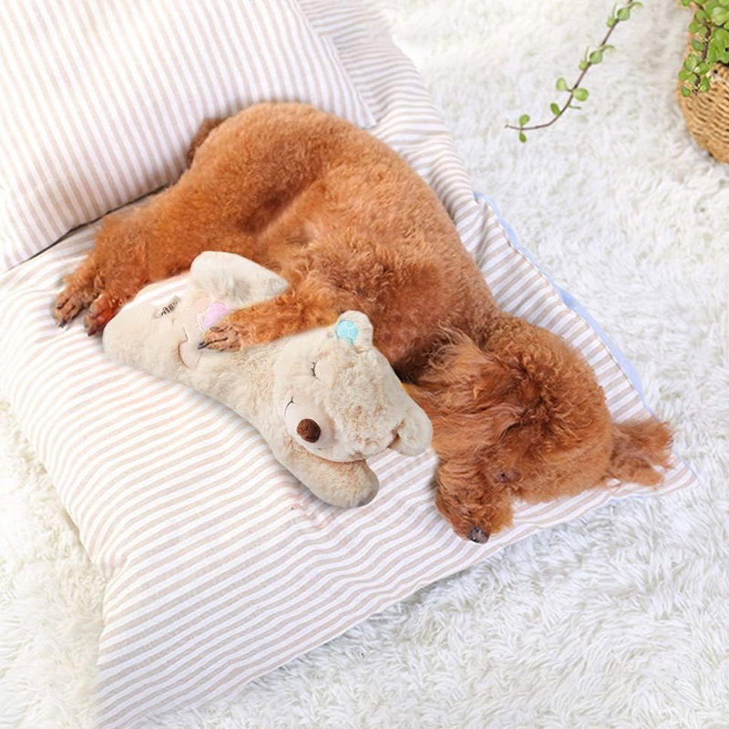 Afp Little Buddy Warm Bear 36X18 Cm