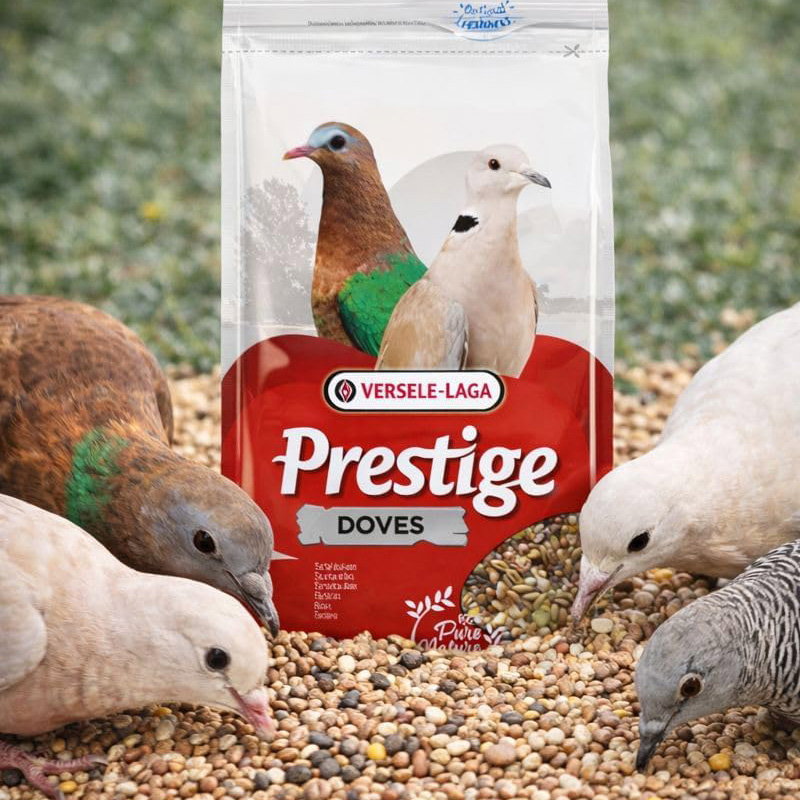 Versele-Laga Prestige Tortelduivenvoer 1 Kg