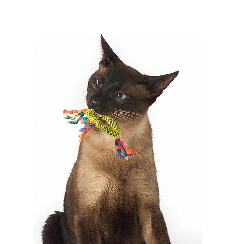 Catstages Catnip Dental Health Chew
