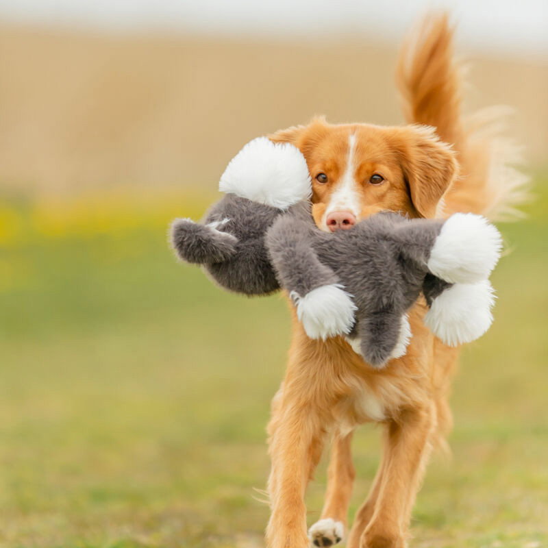 Trixie Hond Met Snor Pluche Grijs 38 Cm