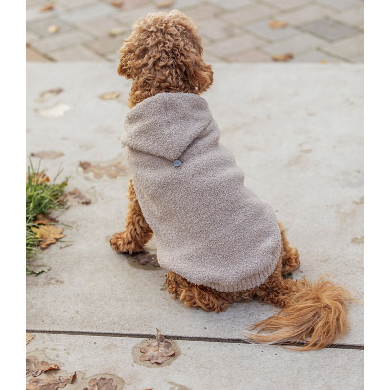 Trixie Hondentrui Carson Hoodie Met Capuchon Zand