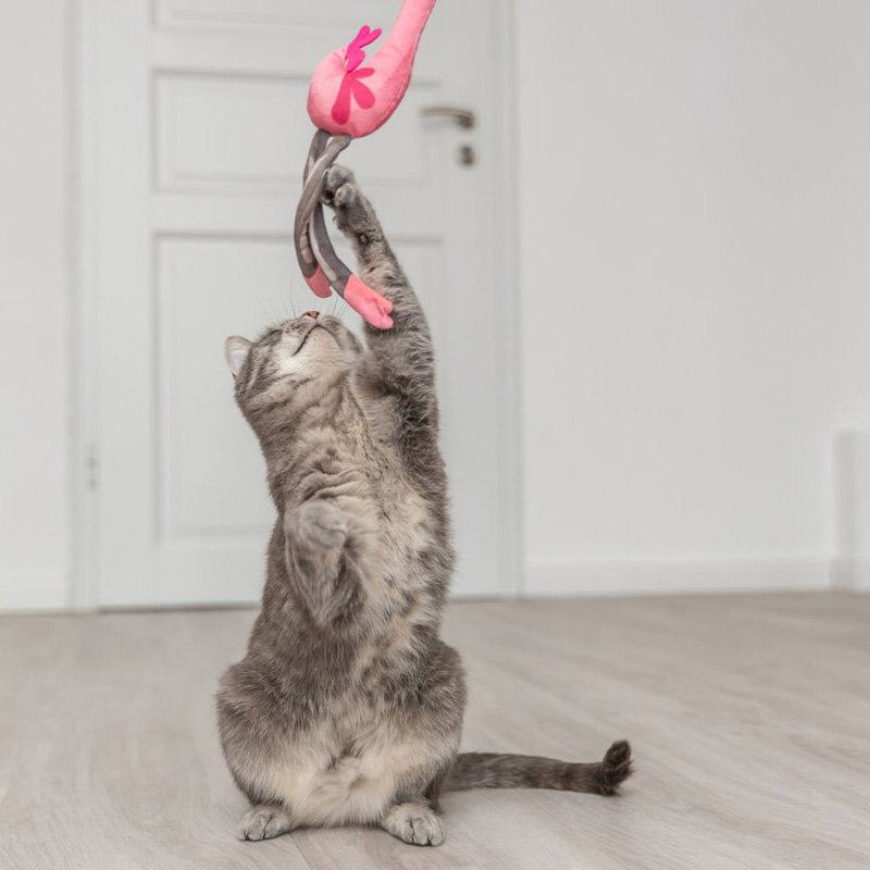 Trixie Kattenhengel Telescopisch Grote Katten Met Flamingo Roze 106 Cm