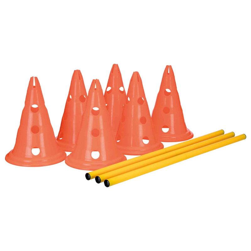 Trixie Dog Activity Hordenset 2 St