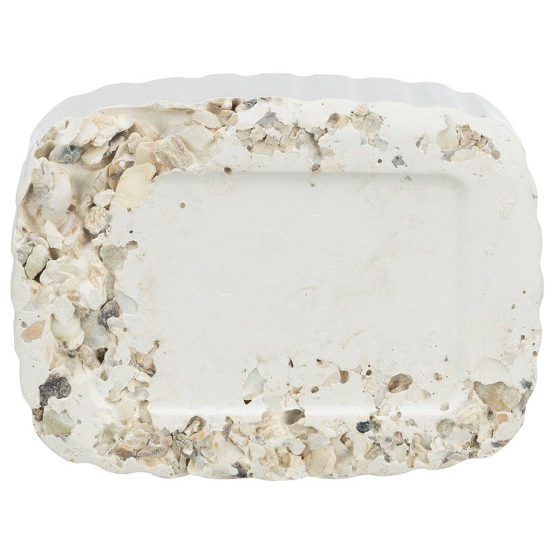 Trixie Piksteen Met Schelpen Mineralen En Mosselen