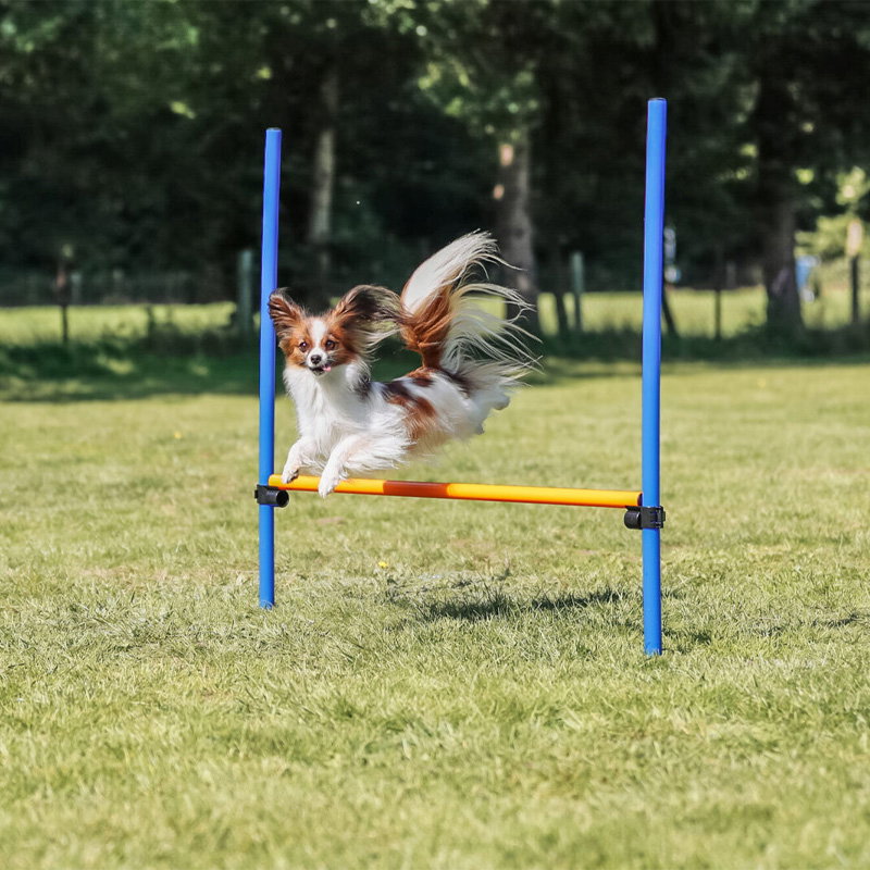Trixie Dog Activity Agility Horde Blauw / Oranje 123X115X3 Cm