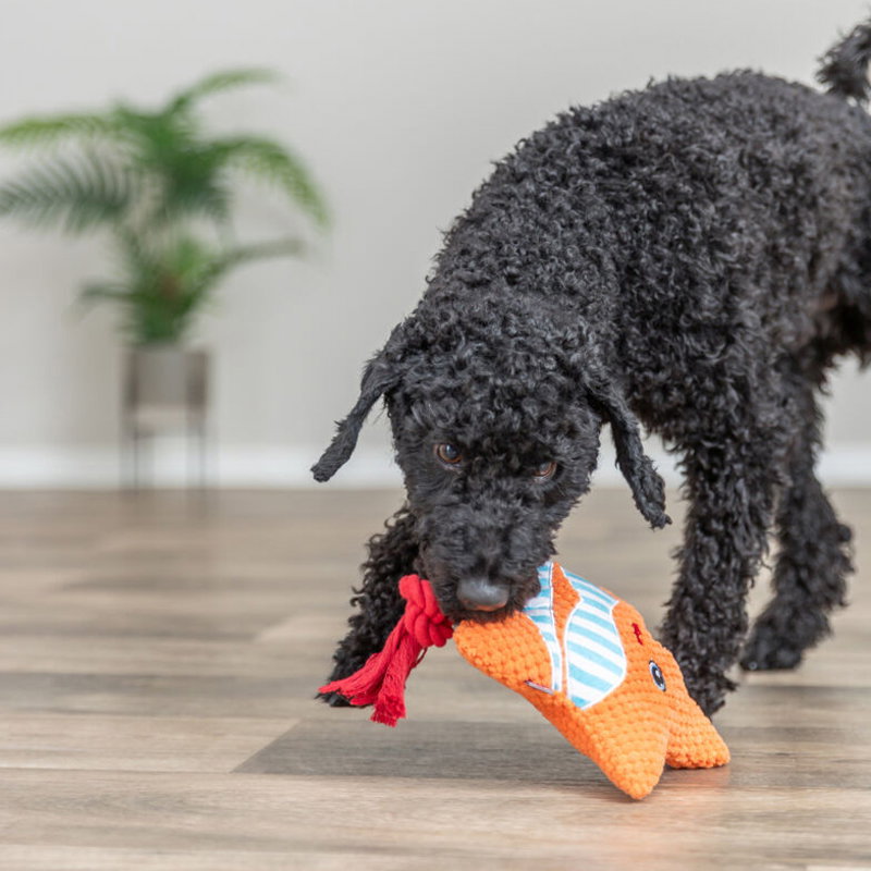 Trixie Zeester Met Flostouw Oranje 22X18X7,5 Cm