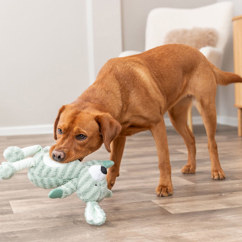 Trixie Hond Met Strepen Pluche Groen 34 Cm