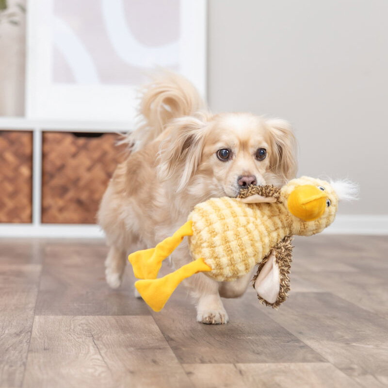 Trixie Vogel Pluche Geel 38 Cm