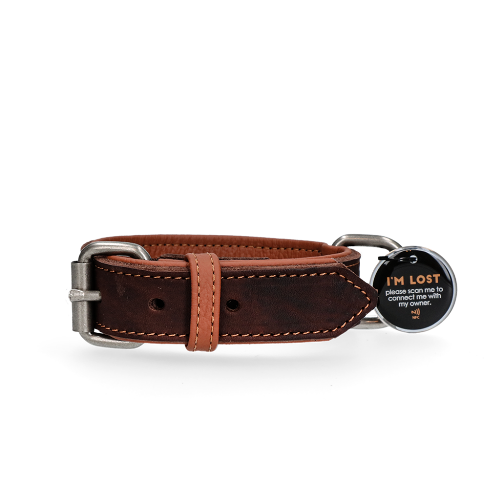 Spotted! Pro Leren Halsband Bruin 2,5 x 50 cm