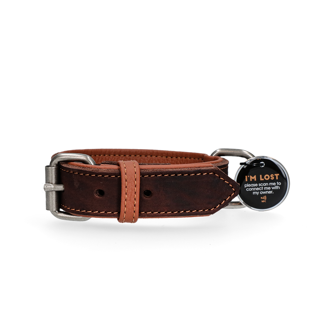 Spotted! Pro Leren Halsband Bruin 2,5 x 50 cm