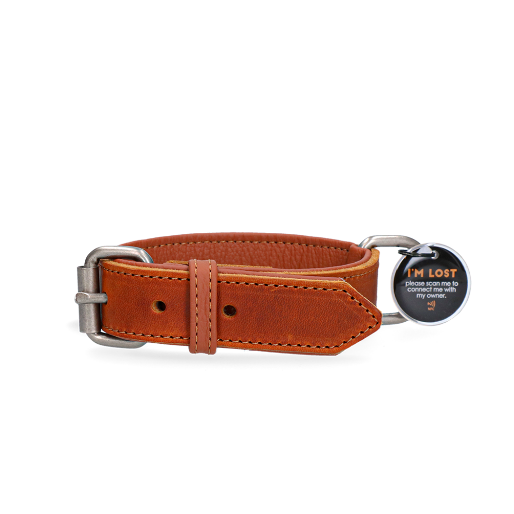 Spotted! Pro Leren Halsband Cognac 2,5 x 45 cm