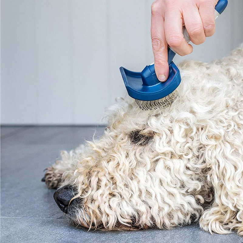 Mikki Doodle Grooming Kit Met Kam En Slickerborstel