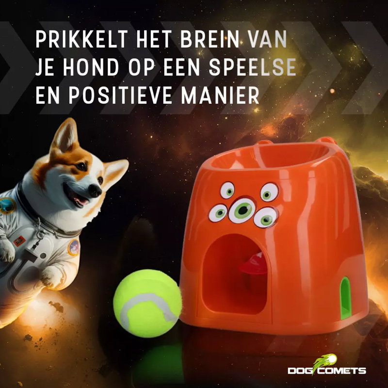 Dog Comets D1spencer Fetch and Treat - Afbeelding 3