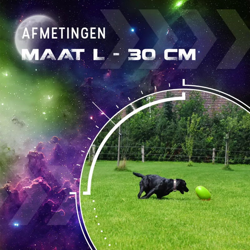 Dog Comets Pan-Stars Groen L - Afbeelding 2
