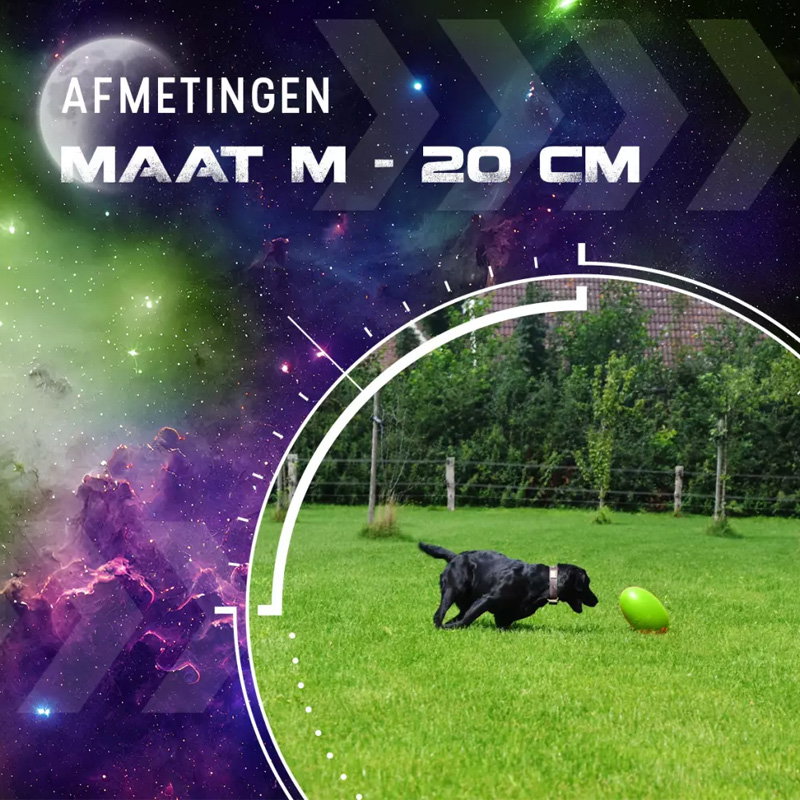 Dog Comets Pan-Stars Groen M - Afbeelding 2