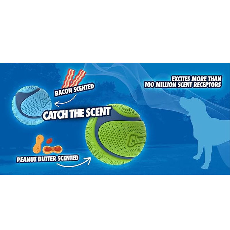 Chuckit! Sniff Fetch Ball Bacon M - Afbeelding 2