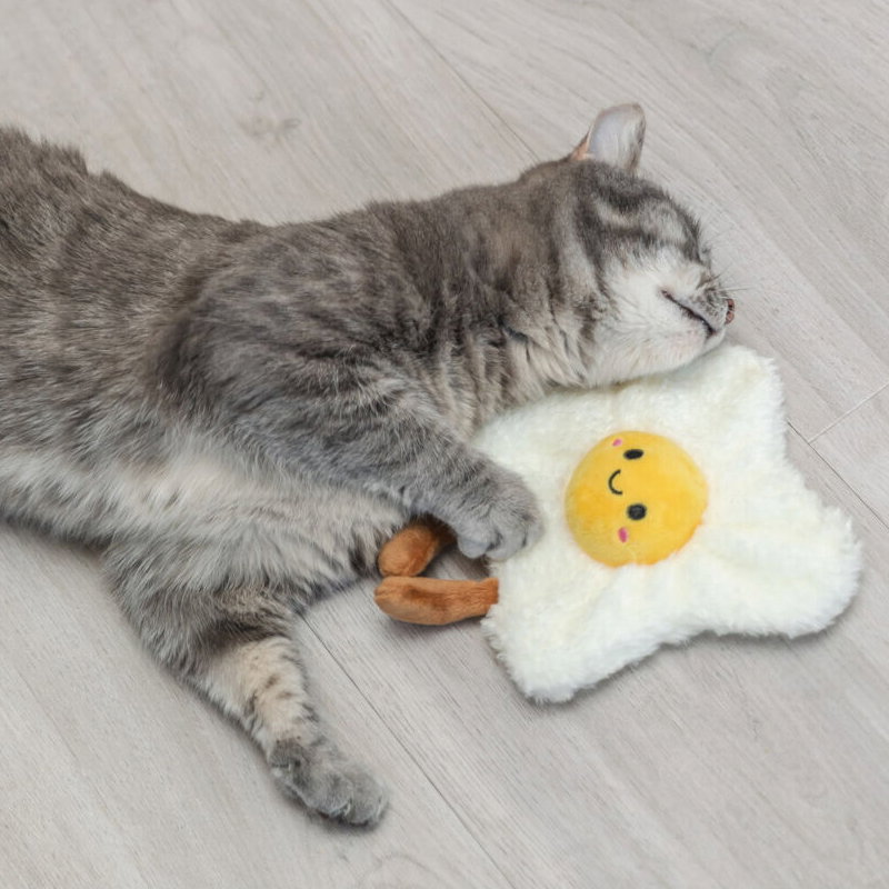 Trixie Gebakken Ei Xxl Pluche Met Amerikaanse Catnip 18 Cm