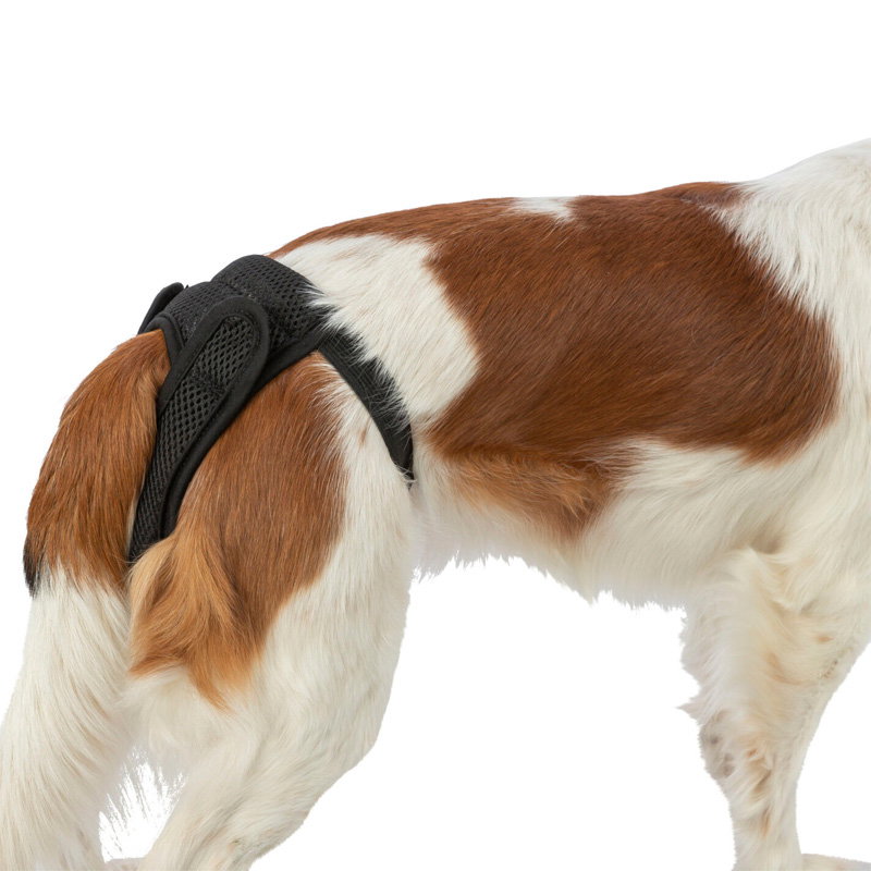 Trixie Beschermbroekje Comfort Mesh Materiaal Zwart 30-37 Cm
