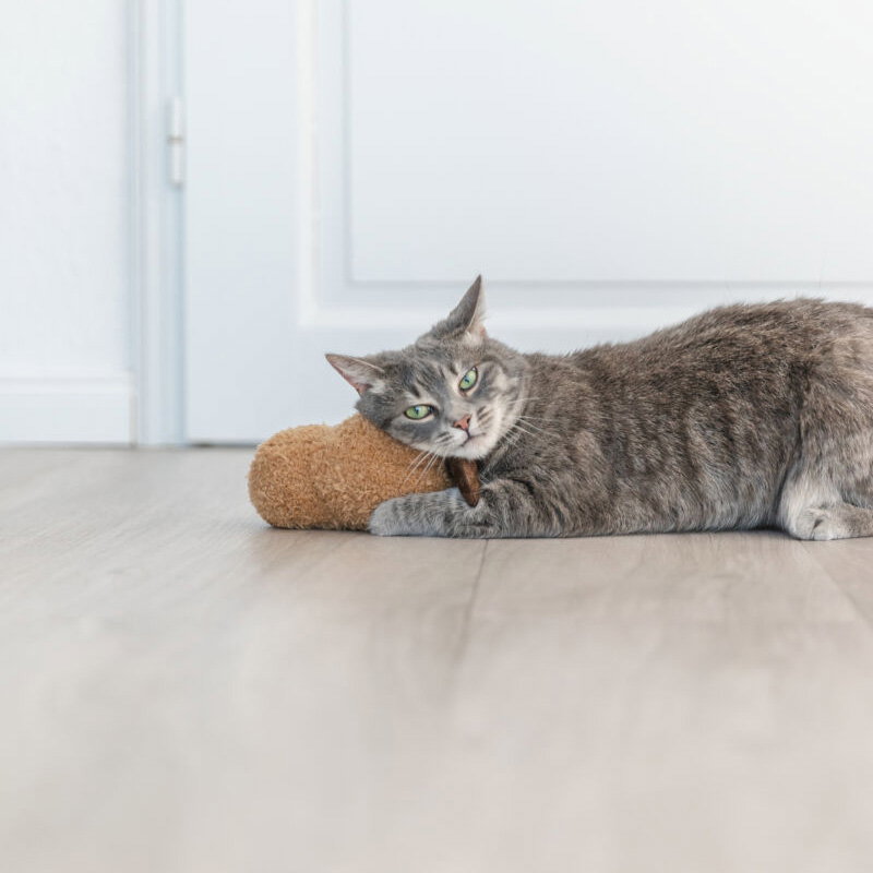 Trixie Pinda Xxl Pluche Met Amerikaanse Catnip 20 Cm - Afbeelding 2