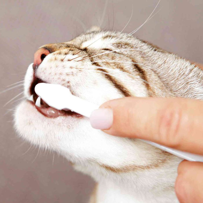 Trixie Gebitsverzorginsset Kat - Afbeelding 2