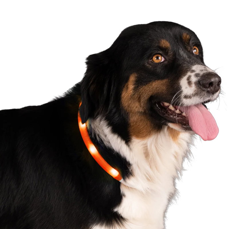 Nightwalk Safety Collar Oranje - Afbeelding 2