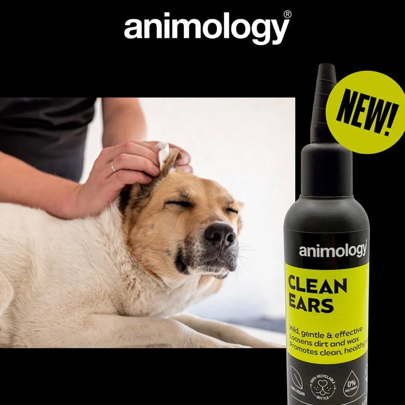 Animology Clean Ears 100 ml - Afbeelding 2