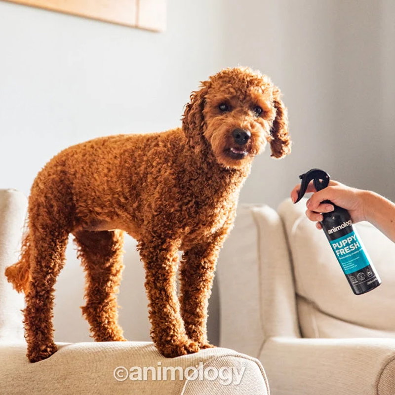 Animology Puppy Fresh Deodorising Puppy Spray 250 ml - Afbeelding 2