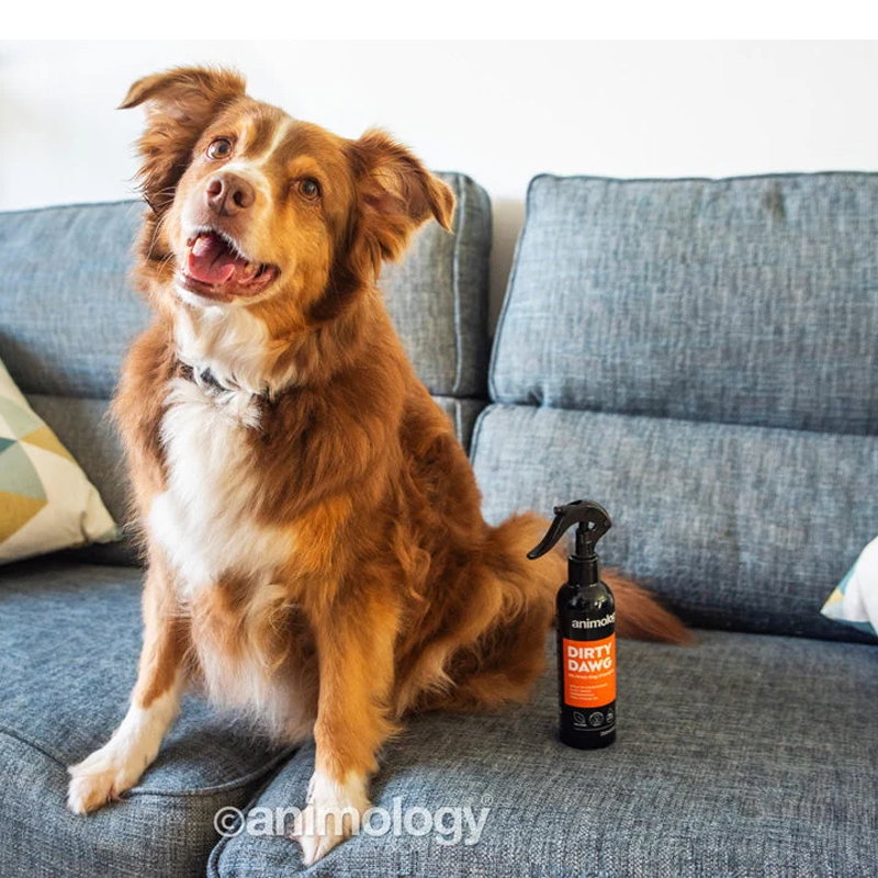 Animology Dirty Dawg No Rinse Dog Shampoo 250 ml - Afbeelding 2