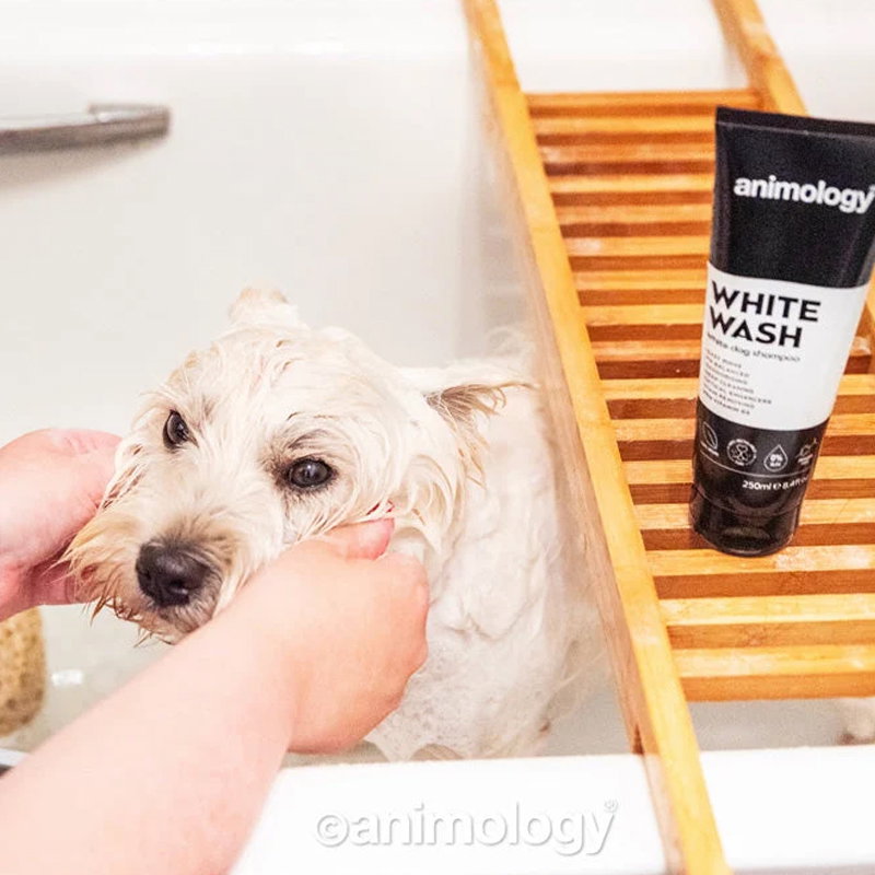 Animology White Wash Dog Shampoo 250 ml - Afbeelding 2