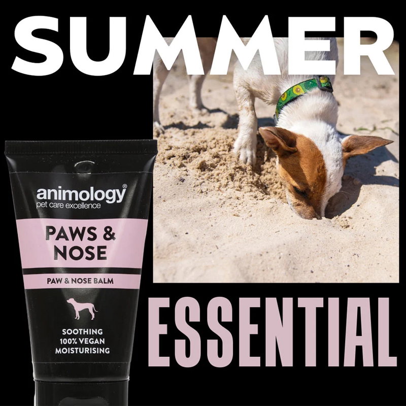 Animology Paws & Nose Balm 50 ml - Afbeelding 2