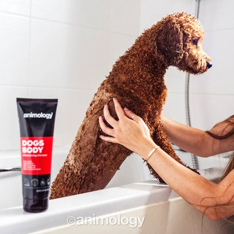 Animology Dogs Body Dog Shampoo 250 ml - Afbeelding 2